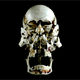 Image for article titled The Science of Anatomy is Undergoing a Revival